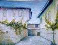 syon049